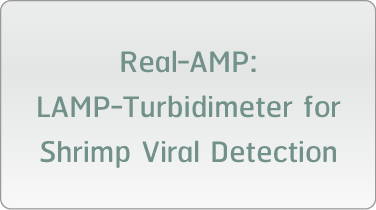 Real-AMP: LAMP-Turbidimeter for Shrimp Viral Detection